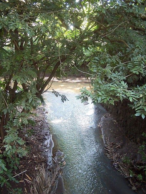 Walter Thilo Deininger National Park